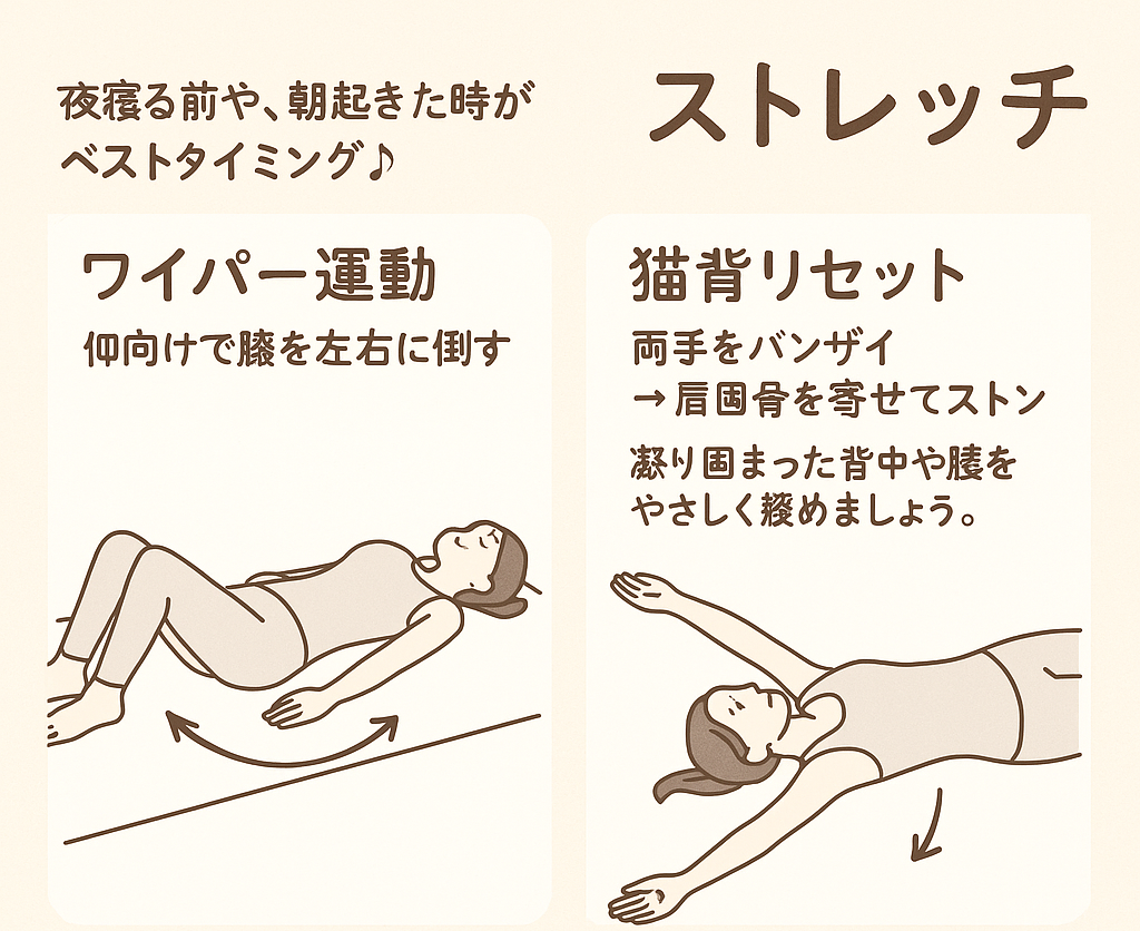 体を緩めるストレッチ