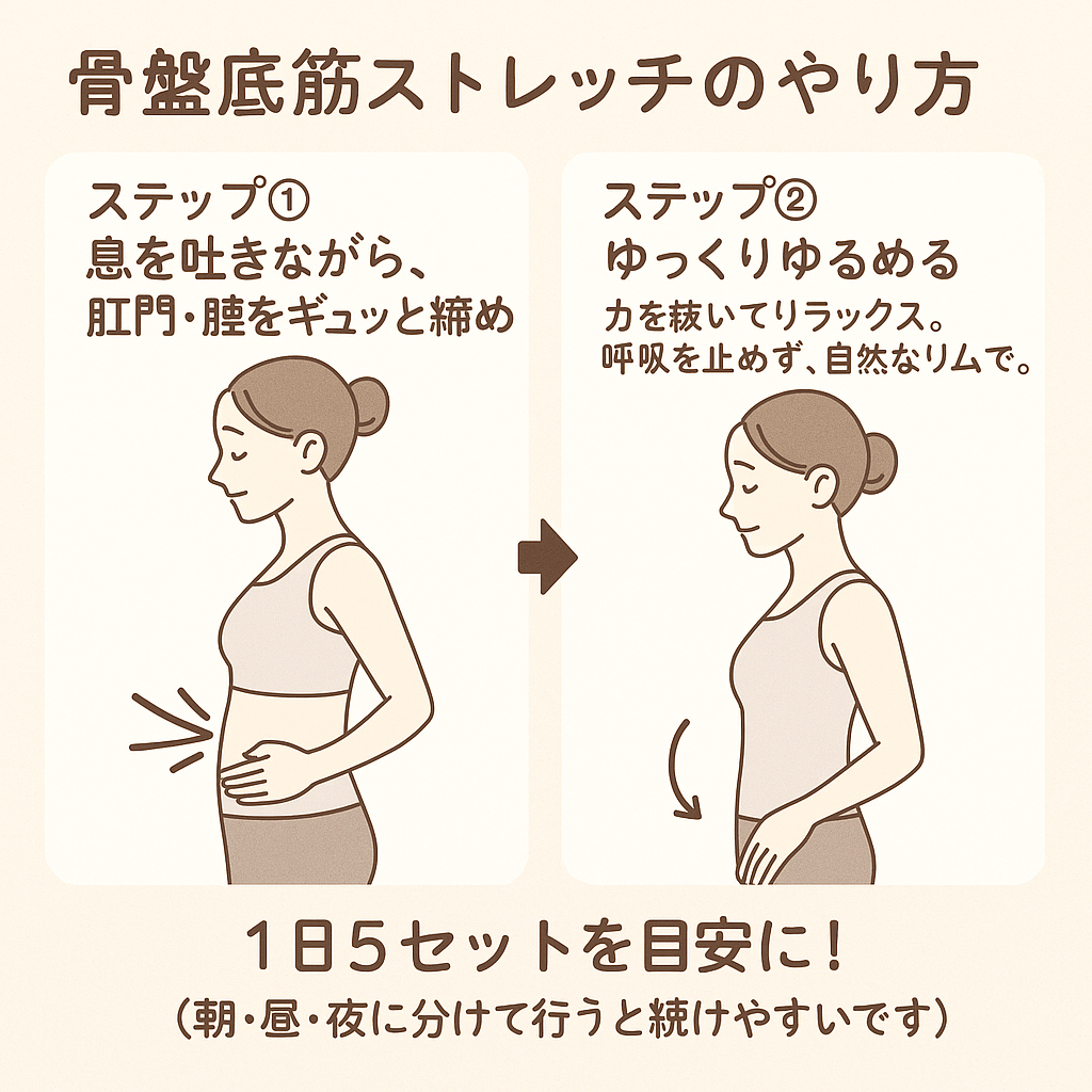 骨盤底筋ストレッチのやり方